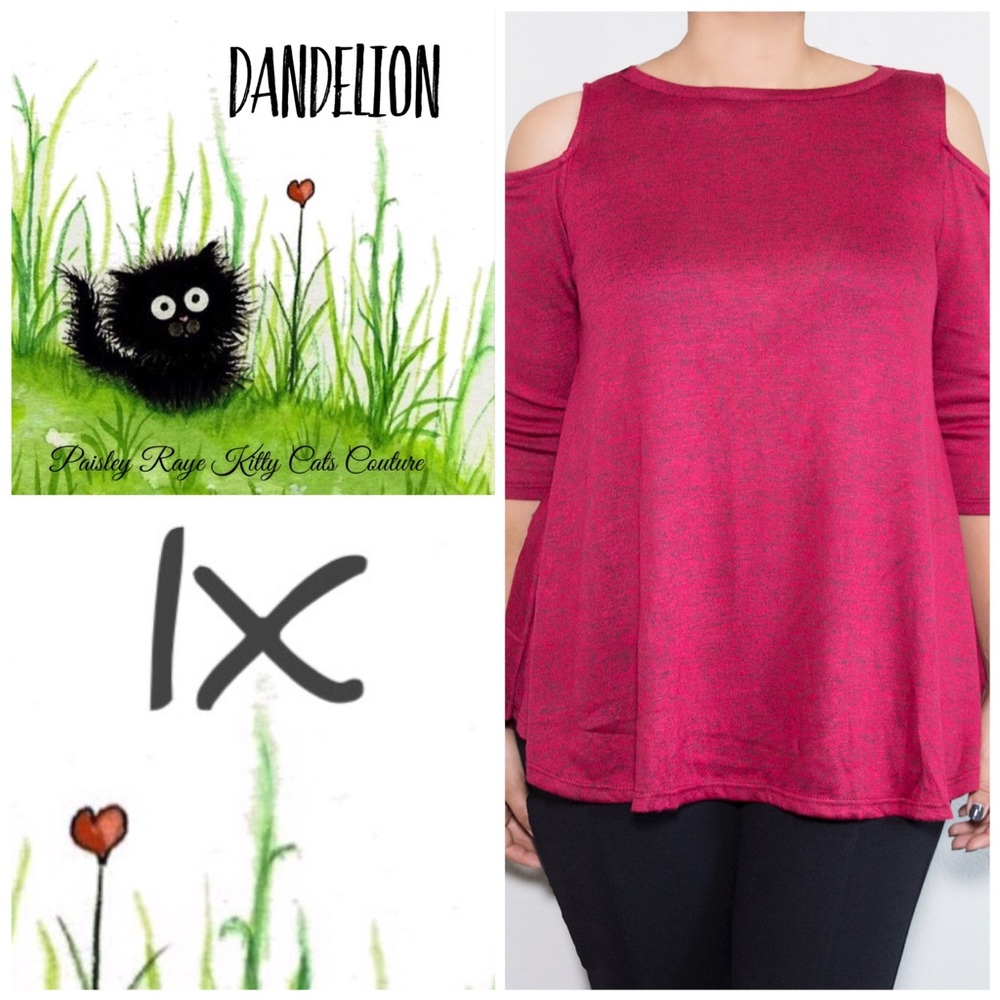 BNWT Cold Shoulder Knit Swing Top with 3/4 sleeves